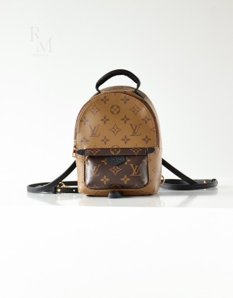 루이비통 모노그램 팜 스프링스 미니 멀티 백팩