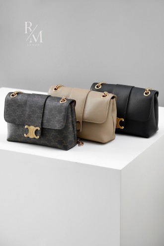 셀린느 미디엄 빅투아르 백