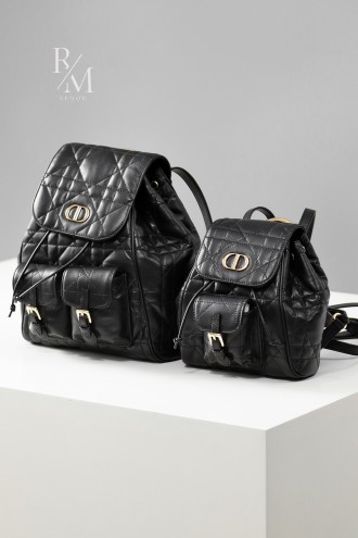 디올 카로 백팩