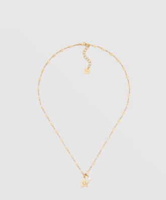 Dior Star 목걸이 N2215