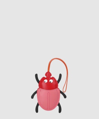 Lovely Beetle 백참