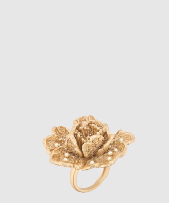 Jardin de 반지 R2595